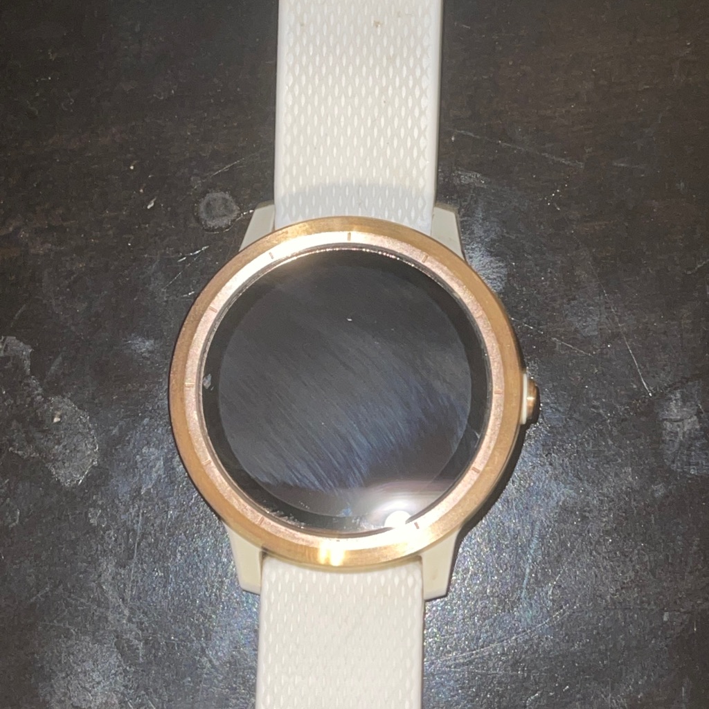 Garmin Vivoactive 3